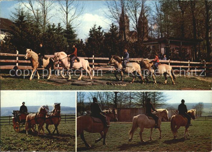 Kalterherberg Hotel Hirsch Reiterhof