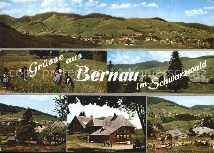 Bernau Schwarzwald Panorama Teilansicht