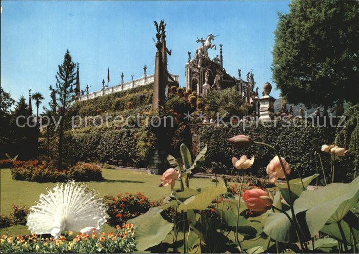 Isola Bella Lago Maggiore Giardinie Terrazze