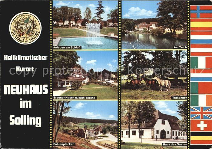 Neuhaus Solling Anlagen am Schloss Teich Trakehner Brauner Hirsch Kirche Fohlenp