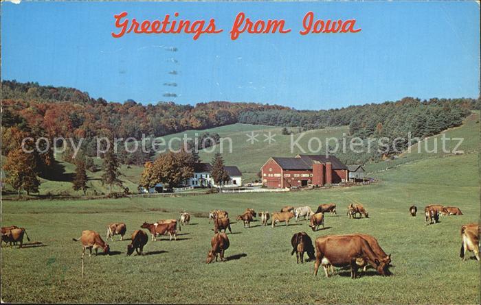 Iowa Cows Farm