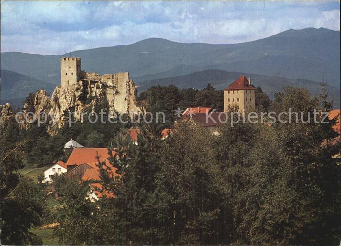 Regen Burgruine Weissenstein