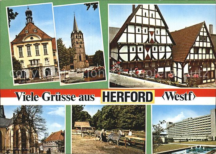 Herford Bruderstrasse Muensterkirche Tierpark