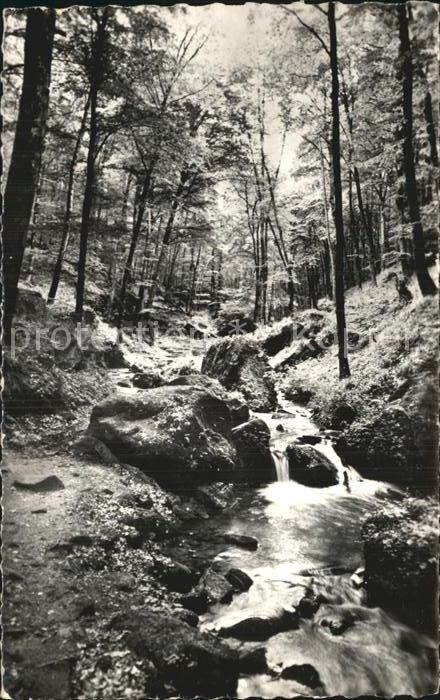 LUXEMBOURG  Luxemburg Petite Suisse Le Hallerbach