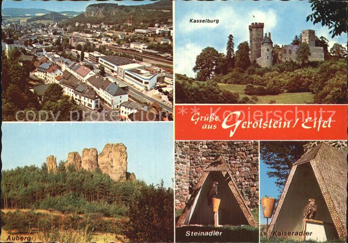Gerolstein Rheinland-Pfalz Kasselburg Steinadler Kaiseradler Auberg %fa