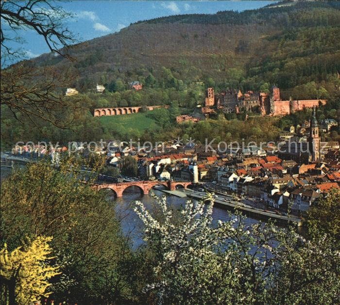 Heidelberg Neckar Fruehling Schloss