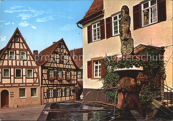 Marbach Neckar Schiller Geburtshaus Wilder Mann Brunnen