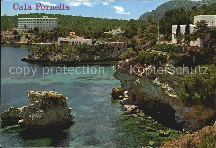 Cala Fornells Panorama