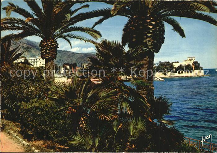 Beaulieu-sur-Mer Cote Azur Palmen