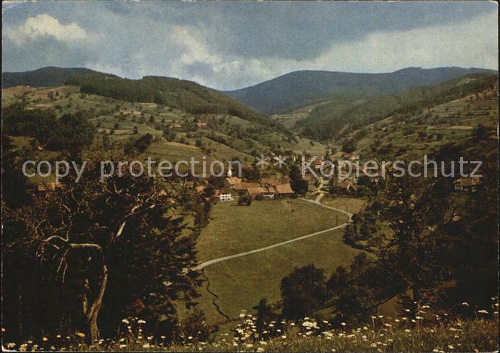 Schopfheim Wies Ansicht