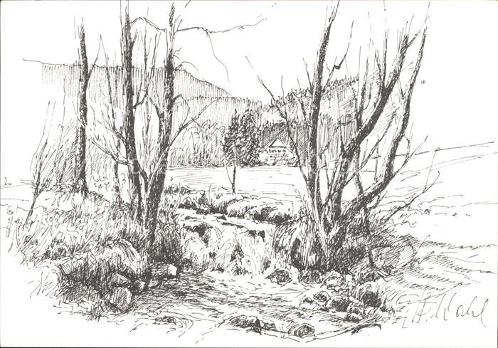 Waldkirch Breisgau Blick ins Altersbachtal