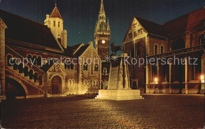 BRAUNSCHWEIG  CITY Dom Burg und Rathaus bei Nacht