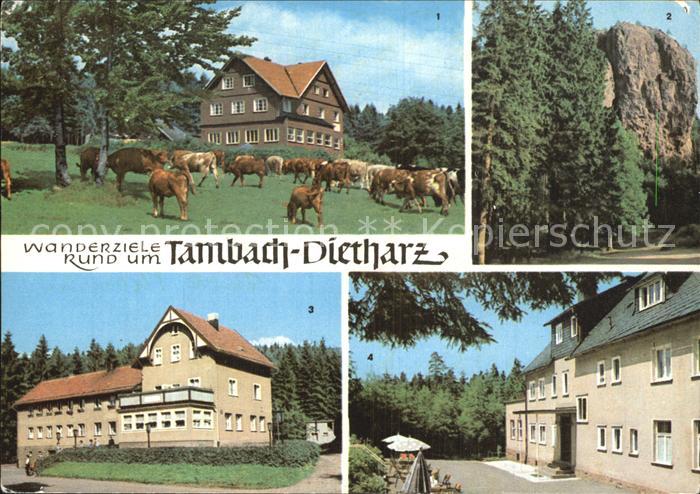 Dietharz Tambach Wanderziele Friedensplatz Kirche Neubausiedlung Hafen