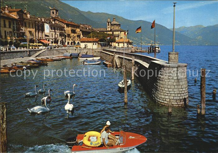 Cannobio Lago Maggiore Il porto Hafen Schwaene