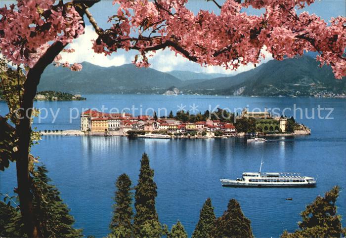 Isola Bella Lago Maggiore Panorama Baumbluete Dampfer Alpen