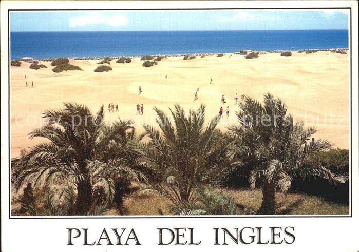 Playa del Ingles Palmen Duenen Strand Meerblick