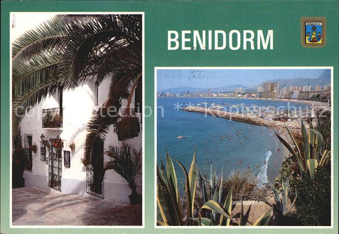 Benidorm Panorama Kueste Strand Haus unter Palmen