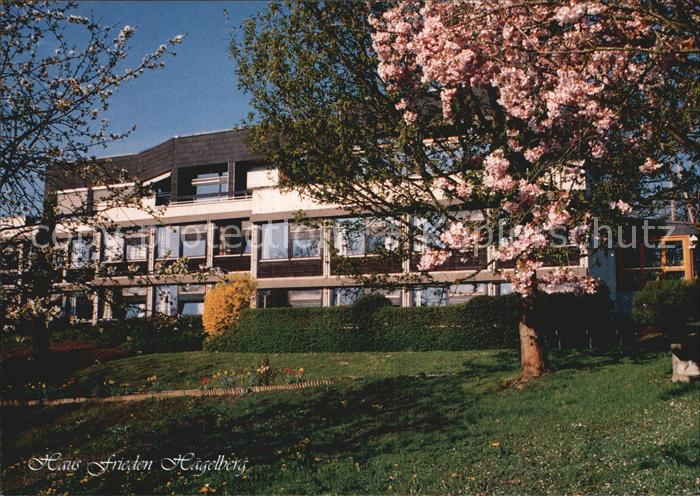 Steinen Wiesental Haus Frieden Haegelberg Baumbluete