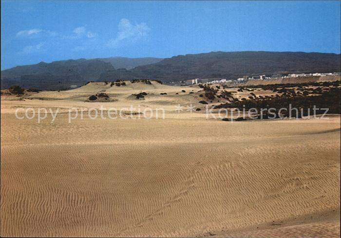 Maspalomas Duenen Landschaftspanorama