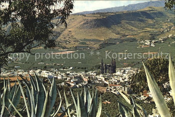 Arucas Gran Canaria Panorama Kakteen