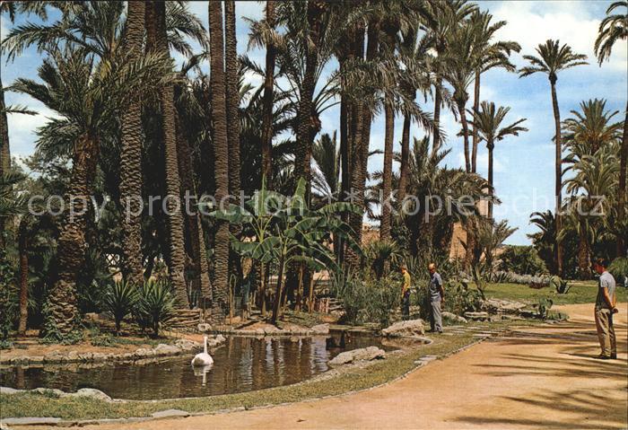 Elche Parque Municipal Estanque de los Cisnes Park Schwanenteich