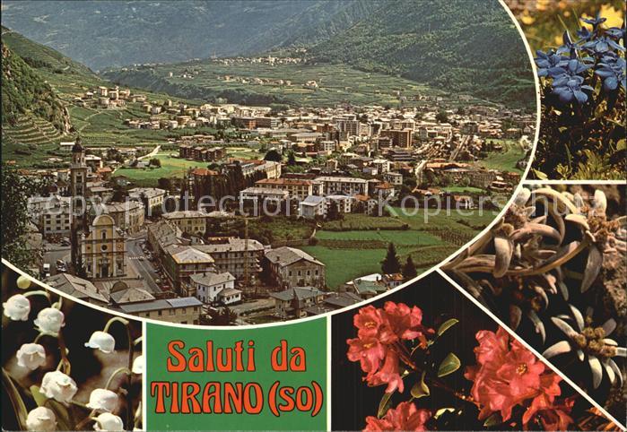 Tirano Panorama Santuario Madonna Kloster Kirche Blumen