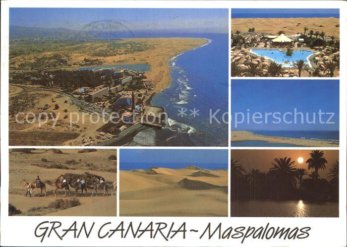 Maspalomas Fliegeraufnahme Wueste Kamelreiten Sonnenuntergang unter Palmen
