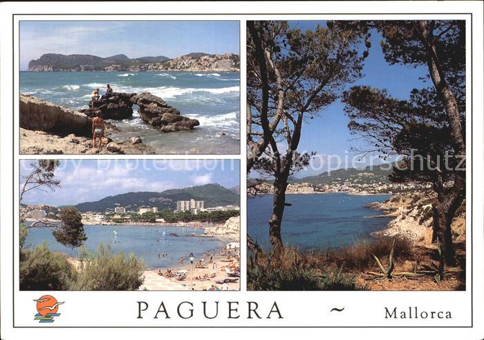 Paguera Mallorca Islas Baleares Kueste Strand Pinien