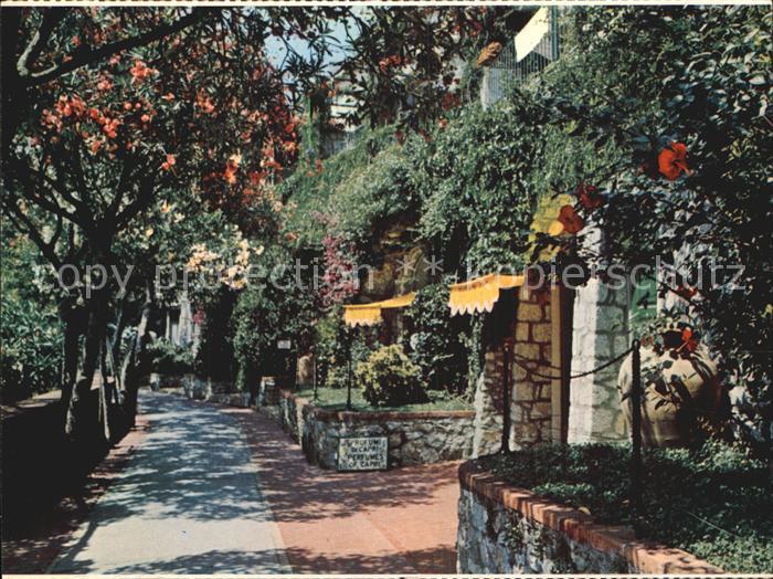 Capri Viale G Matteotti
