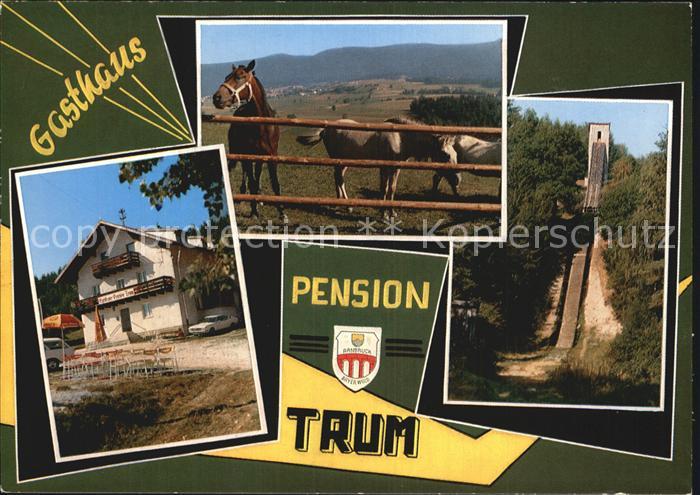 Arnbruck Gasthaus Pension Trum Zellertalschanze Pferde