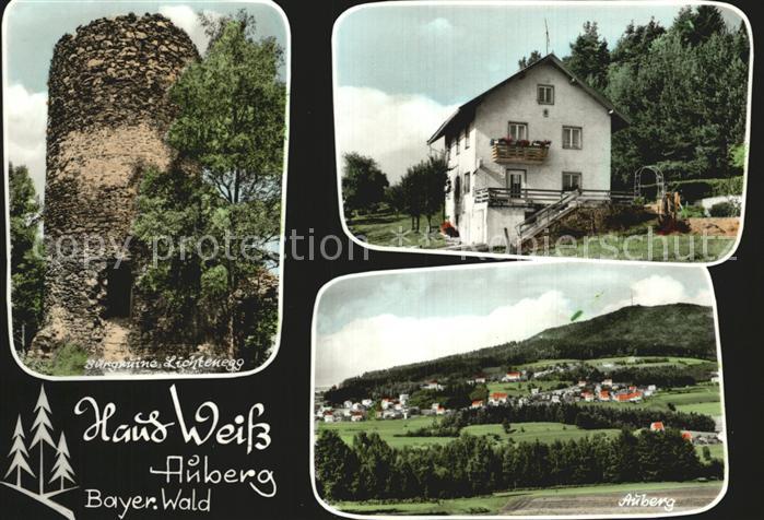 Auberg Rimbach Burgruine Lichtenegg Pension Haus Weiss Panorama Bayerischer Wald