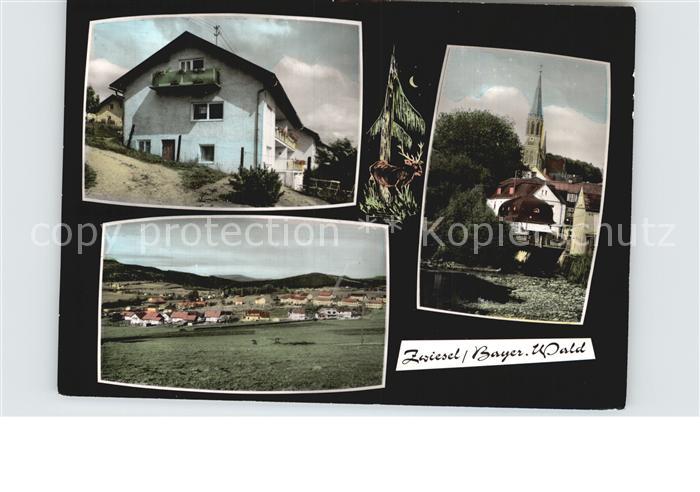 Zwiesel Niederbayern Pension Gaestehaus Ortsansicht mit Kirche Landschaftspanora