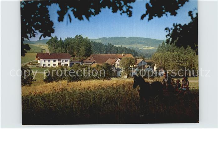 Michelsneukirchen Urlaub auf dem Bauernhof Ferienwohnung Fingermuehle Kutschfahr