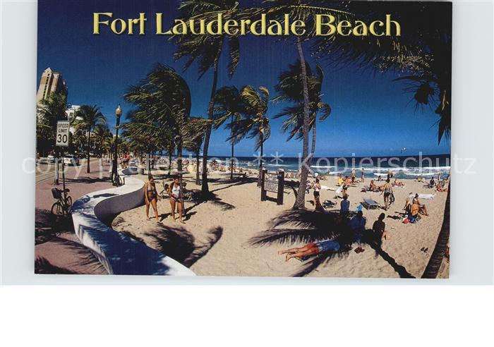 Fort Lauderdale Beach Palmtrees
