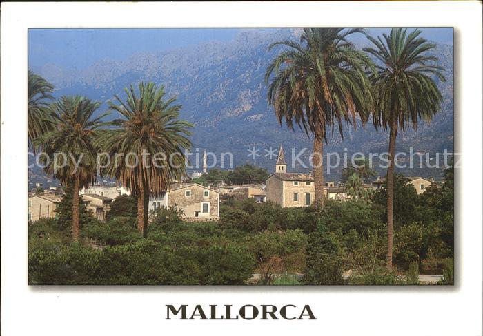 Mallorca Panorama