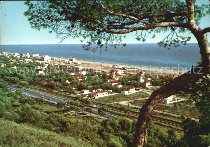 Castellón De la Plana Panorama