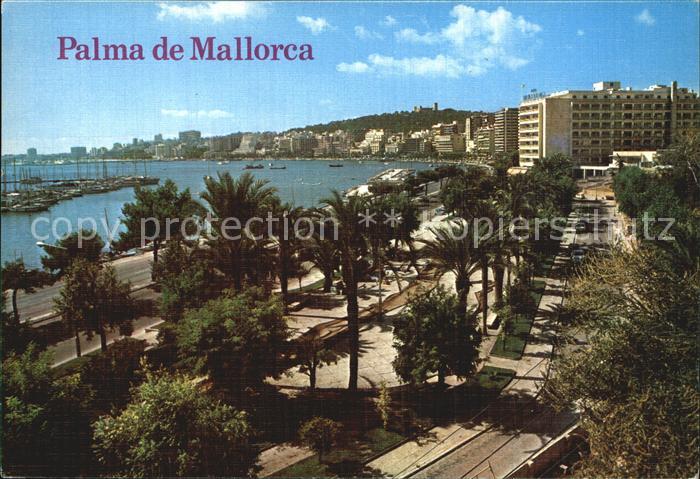 Palma de Mallorca Paseo Maritimo