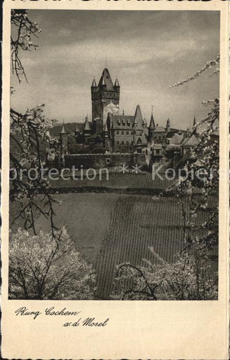 Cochem Mosel Blick zur Burg Baumbluete
