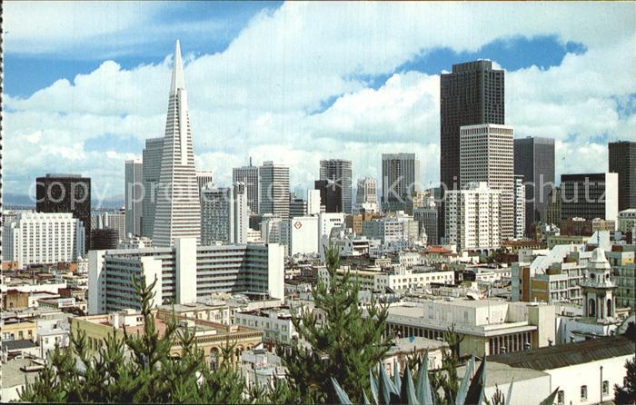 San Francisco California Skyline
