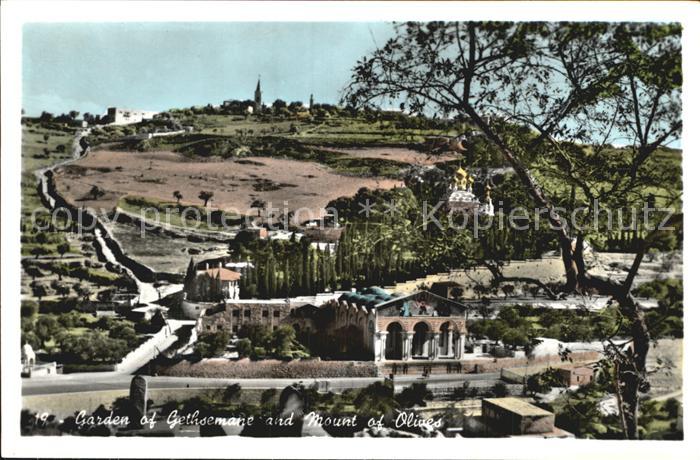 Gethsemani Gethsemane Jardin det Mont des Oliviers