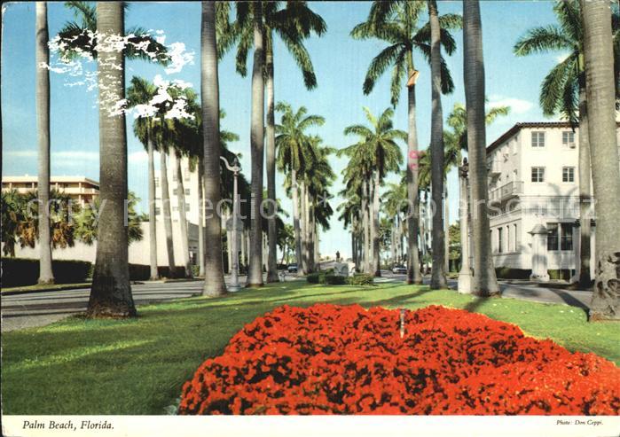 Palm Beach Royal Palm Way
