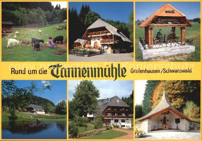 Grafenhausen Schwarzwald Rund um die Tannenmuehle