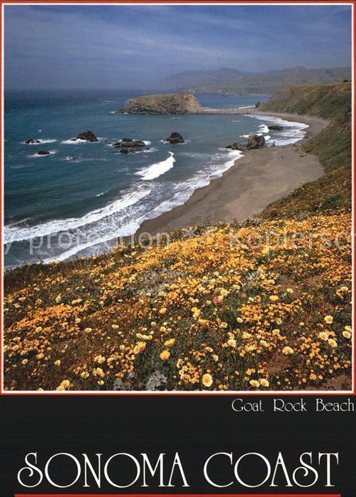 Sonoma Coat Rock Beach