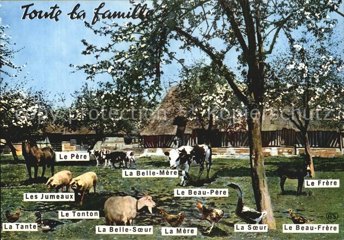 Tiere Bauernhof Ziege Kuh Schwein Pferd Huehner
