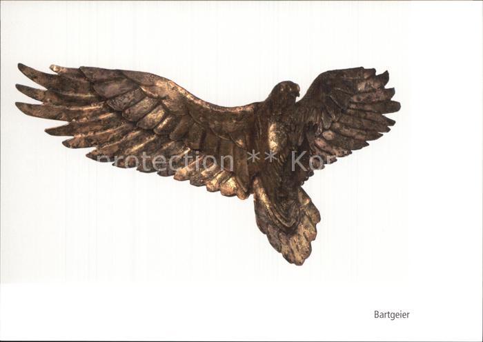 Voegel Birds Oiseaux Uccelli Pajaros-- Bartgeier Stahlblech Messingueberschmelzu