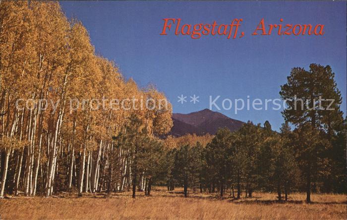 Flagstaff Arizona Autumn and San Francisco Peaks