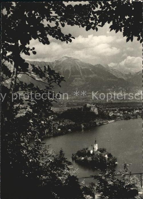 Bled Seepartie mit Insel
