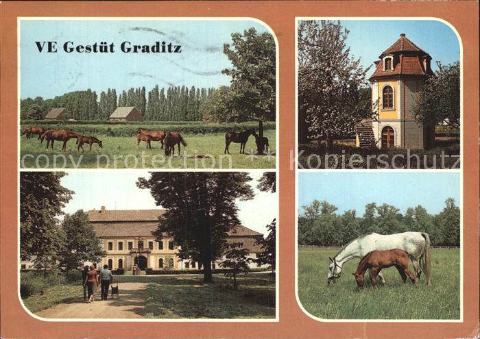 Graditz VE Gestuet Pferde