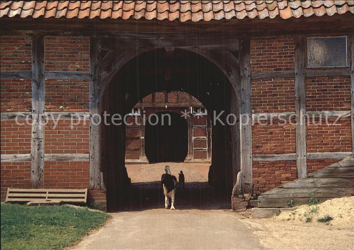 Wulften Dirk Rademaker Hofeinfahrt