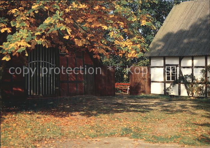 Falkenberg Lilienthal Dirk Rademaker herbstliche Pracht